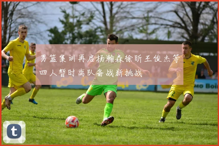 男篮集训再启杨瀚森徐昕王俊杰等四人暂时离队备战新挑战