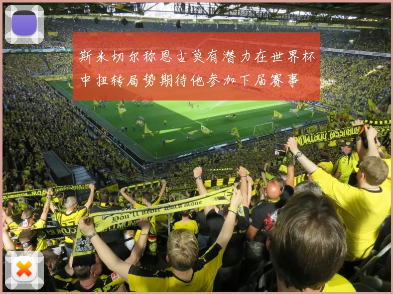 斯米切尔称恩古莫有潜力在世界杯中扭转局势期待他参加下届赛事